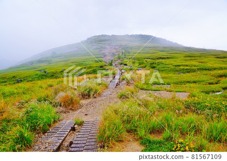 Road from Tarobeihei in the early morning to Mt. Taro Road from Tarobeihei in the early morning to Mt. Taro 81567109