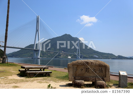 Taihei Ohashi 81567390