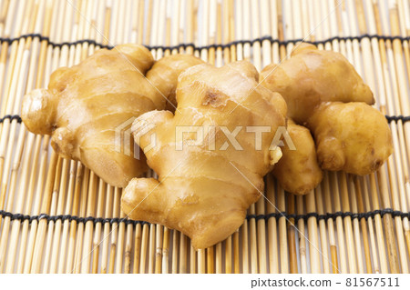  ginger 81567511