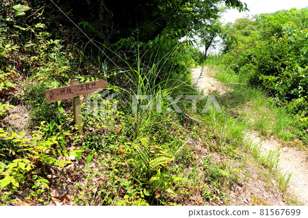 Inoyama, Fukuoka Prefecture, Kasuya-gun, Umi-cho, mountain climbing, hiking Inoyama, Fukuoka Prefecture, Kasuya-gun, Umi-cho, mountain climbing, hiking 81567699