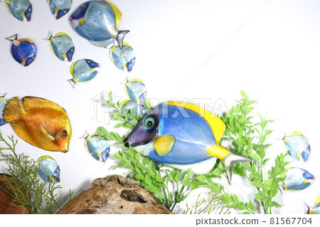 Fish swimming on the seabed Fish swimming on the seabed 81567704