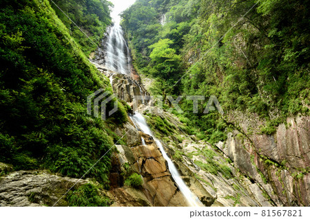 Hidden waterfall [Kamikitayama Village, Yoshino District, Nara Prefecture] 81567821