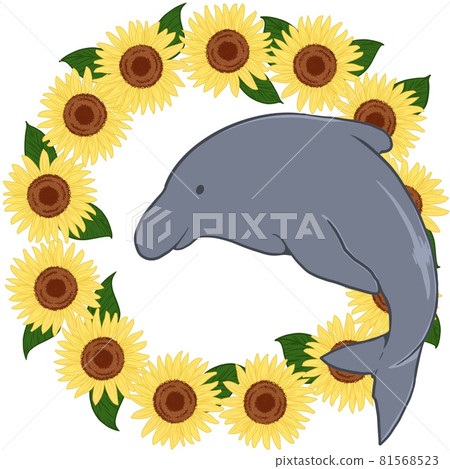 Sunflower wreath and dolphin - Stock Illustration [81568523] - PIXTA