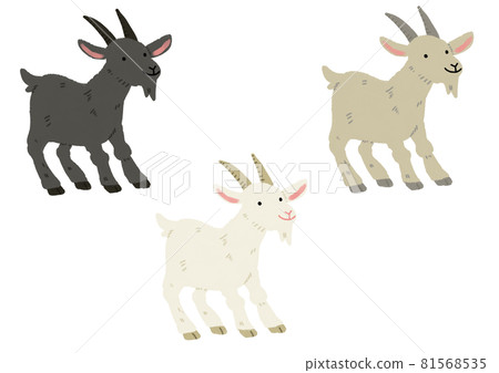 Three-color goat Three-color goat 81568535