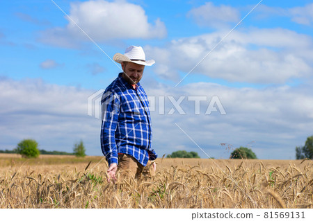 Man agronomist farmer in golden wheat field. Male holds ears of wheat in hand. Man agronomist farmer in golden wheat field. Male holds ears of wheat in hand. 81569131