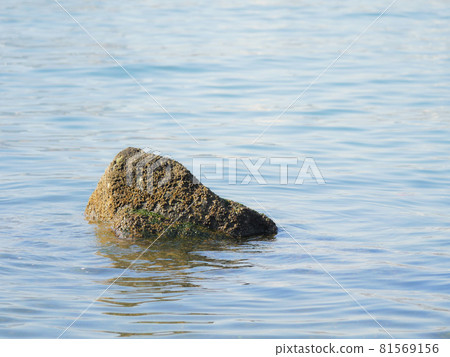 Rocks in the sea 1 81569156