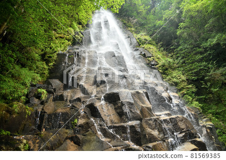 Anagi Waterfall (Yo no Taki) [三重縣尾羽市南浦] 81569385