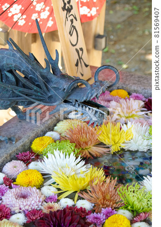 Hanatemizu, Shrine, Chozuya, Purification, Cut flowers, Shrines and temples, Flowers, Plants, Tradition, Japanese, Japan, Japanese style 81569407