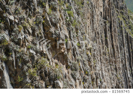 Rock wall of Kanyon del Korka 81569745