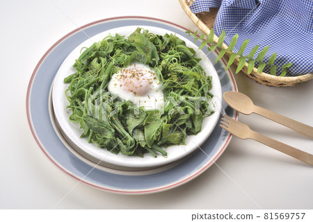 新鮮的炒蔬菜和雞蛋料理 新鮮的炒蔬菜和雞蛋料理 81569757