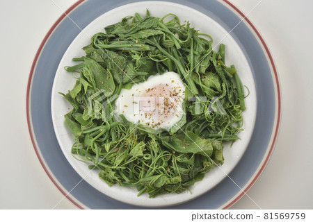 新鮮的炒蔬菜和雞蛋料理 81569759