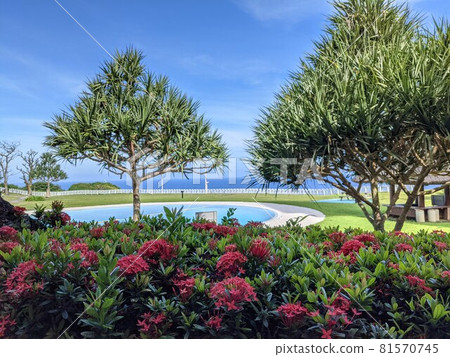 沖繩度假村 81570745