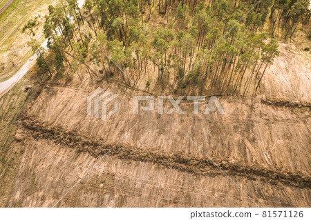 Aerial View Of Deforestation For Territory Of Future Field Aerial View Of Deforestation For Territory Of Future Field 81571126