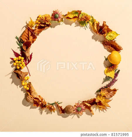 Autumn wreath flat lay. Dry autumn leaves, berries, fruits and flowers. Autumn wreath flat lay. Dry autumn leaves, berries, fruits and flowers. 81571995