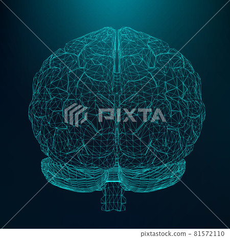 Vector illustration human brain. The structural... - Stock Illustration ...