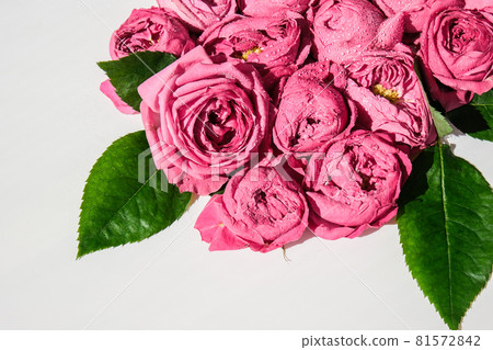 Holiday concept, bouquet of roses for a birthday, valentines mothers womans day, bouquet of flowers in the morning. Peonies Holiday concept, bouquet of roses for a birthday, valentines mothers womans day, bouquet of flowers in the morning. Peonies 81572842