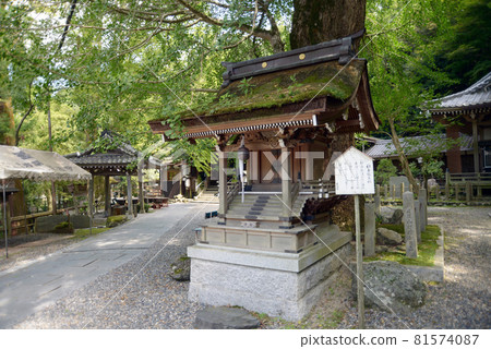 Iwama-dera Lightning Dragon King Company Otsu City, Shiga Prefecture 81574087