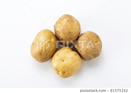 馬鈴薯男爵馬鈴薯 馬鈴薯男爵馬鈴薯 81575142