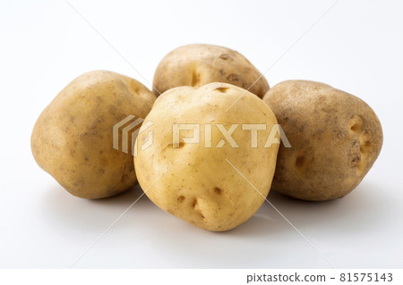 Potato Baron potato Potato Baron potato 81575143