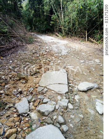 Rough road in the jungle of Asia. The countryside of Thailand Rough road in the jungle of Asia. The countryside of Thailand 81575200