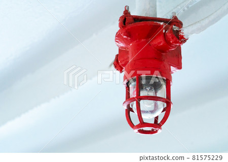 Emergency lighting system. Lamps protected by a grill Emergency lighting system. Lamps protected by a grill 81575229