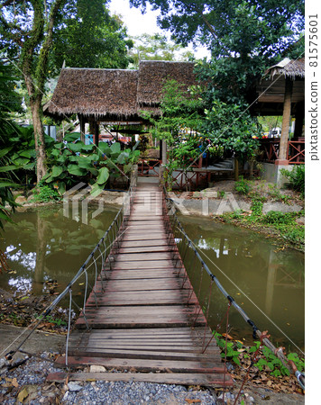 A bridge made of boards and ropes. Hiking trail for tourists in the jungle forest 81575601