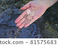 Purification money 81575683