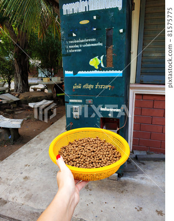 Vending machine selling fish food by a lake in a city park Vending machine selling fish food by a lake in a city park 81575775