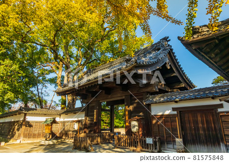 Tokugawaen in autumn colors <Nagoya City, Aichi Prefecture> Tokugawaen in autumn colors <Nagoya City, Aichi Prefecture> 81575848
