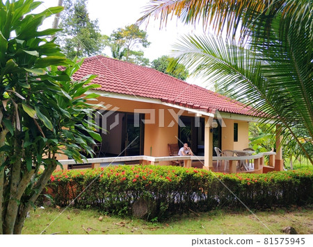 real estate in on the island of Koh Samui in Thailand 81575945