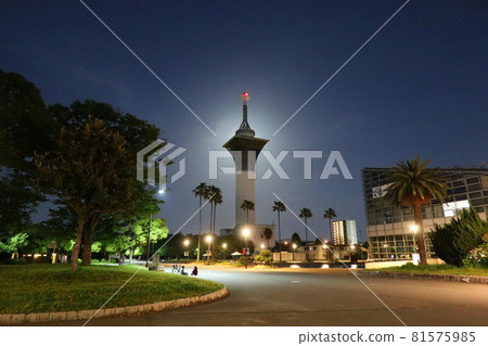 Night view of Osaka, Tsurumi Ryokuchi, Hana Expo Memorial Park 81575985