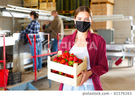 Woman holding strawberry box at fruit warehouse Woman holding strawberry box at fruit warehouse 81576163