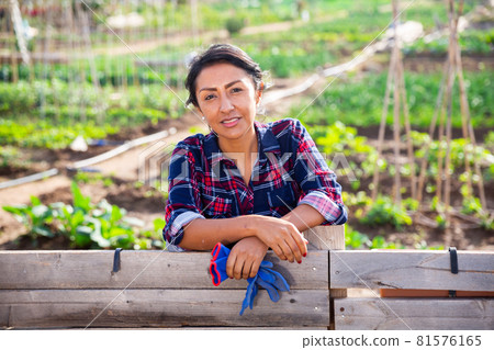 Female farmer with shovel in the backyard of arm Female farmer with shovel in the backyard of arm 81576165