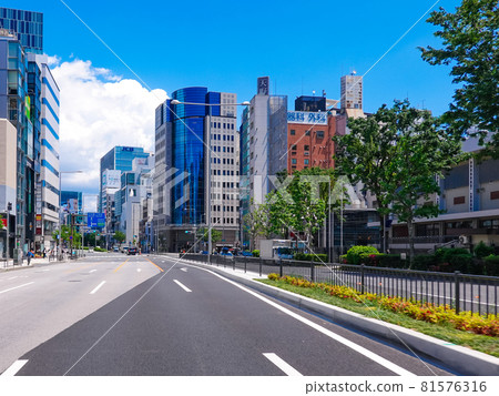 Scenery of central Tokyo Aoyama-dori in fine weather (Aoyama Gakuin University-Minami Aoyama 5-chome intersection) 81576316