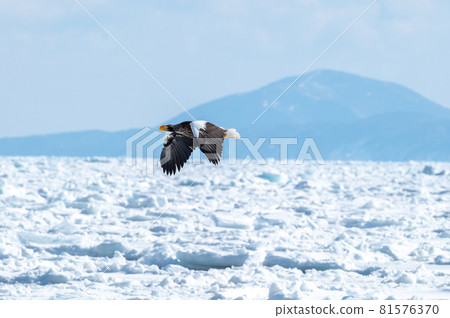 Shiretoko winter 81576370