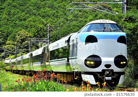 JR West 287 series Panda Kuroshio ② JR West 287 series Panda Kuroshio ② 81576630