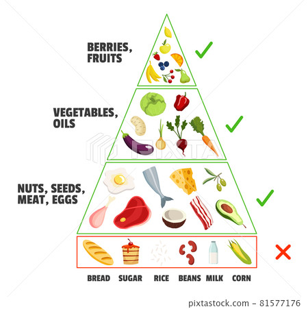 Keto diet concept. Ketogenic pyramid. Healthy nutritional care, dieting. Different food types. Fruits, berries, oils and nuts Keto diet concept. Ketogenic pyramid. Healthy nutritional care, dieting. Different food types. Fruits, berries, oils and nuts 81577176
