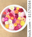 Dahlia flowers floating on the water 81578084
