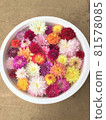 Dahlia flowers floating on the water 81578085