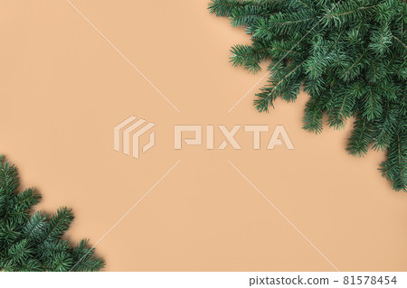 borders of fluffy green fir tree branches on beige background 81578454