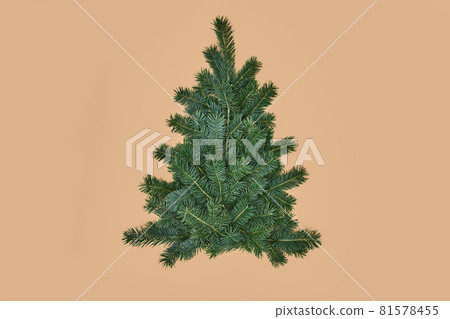 Christmas tree made of green fir branches on beige background 81578455