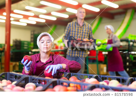 Woman worker packaging peaches 81578598