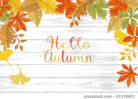 White wood grain background material of autumn leaves frame White wood grain background material of autumn leaves frame 81578603