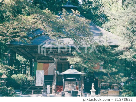 在山上的神社 81578652