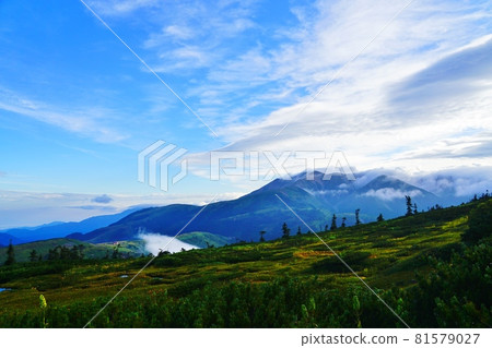 從北野俁山附近眺望藥師岳方向的北阿爾卑斯山 從北野俁山附近眺望藥師岳方向的北阿爾卑斯山 81579027