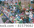 花① 81579082