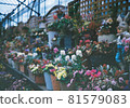花② 81579083