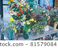 花③ 81579084