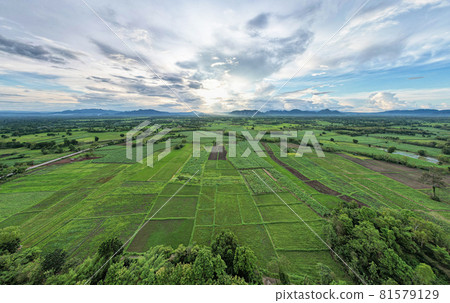 landscape view of the top of green farmland agriculture 81579129