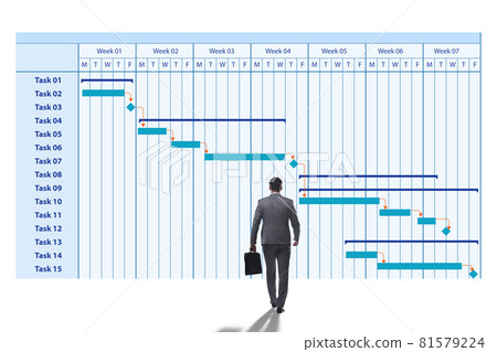 Businessman in project management concept 81579224